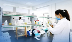 Under the supports of a complete quality assurance system